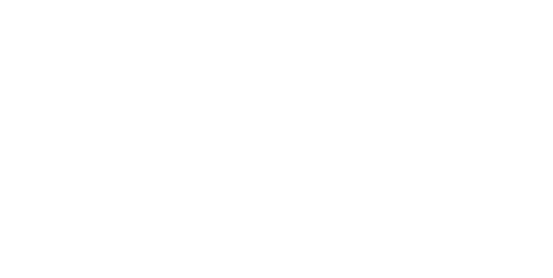 Border-Force Scroll logo