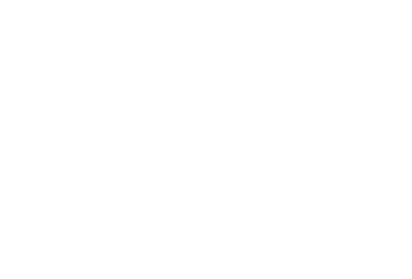 DVSA Scroll logo